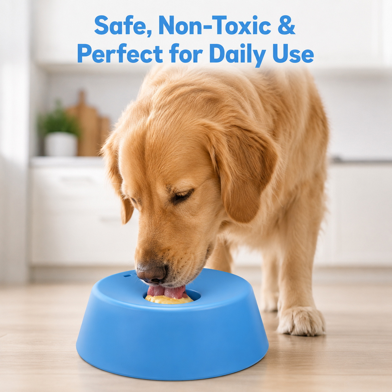 Petnura Enrichment Bowl Helps Make Medicine Time Calmer In Minutes